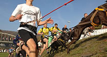 Cani-X at Lydiard House & Park