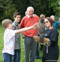 Falconry Experiences Chiseldon House Hotel Swindon