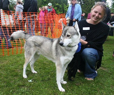 Old Town Festival Dog Show 2012