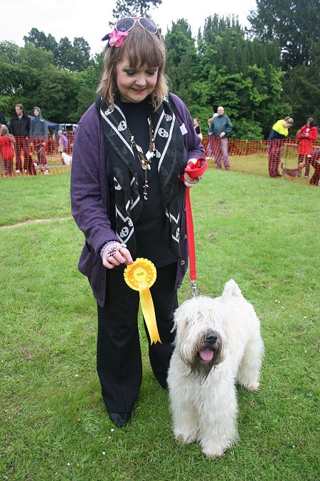 Old Town Festival Dog Show 2012