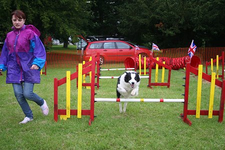 Old Town Festival Dog Show 2012