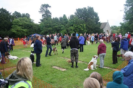 Old Town Festival Dog Show 2012