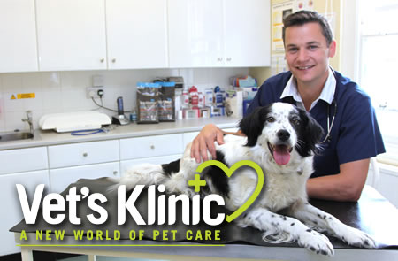 Vets Klinic Swindon