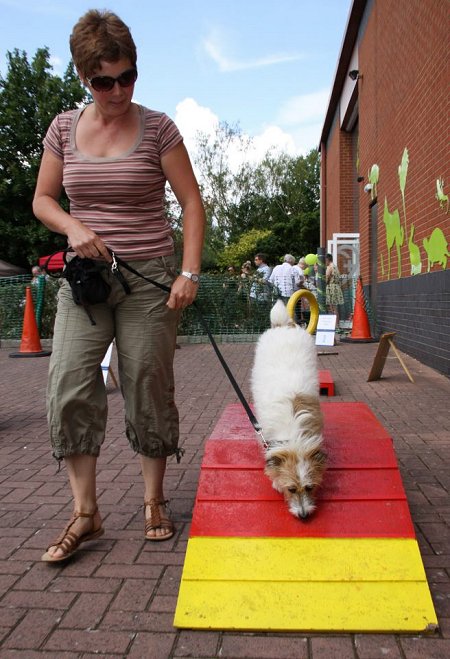 Vet's Klinic Open Day Swindon