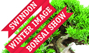 Swindon Bonsai Show