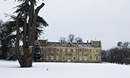 Trees In Winter