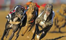 EATING OUT DEAL: Swindon Greyhounds