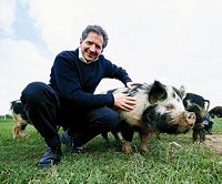 Jody Scheckter Laverstock Farm Park