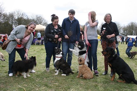 Drove Vets Dogs Day Out