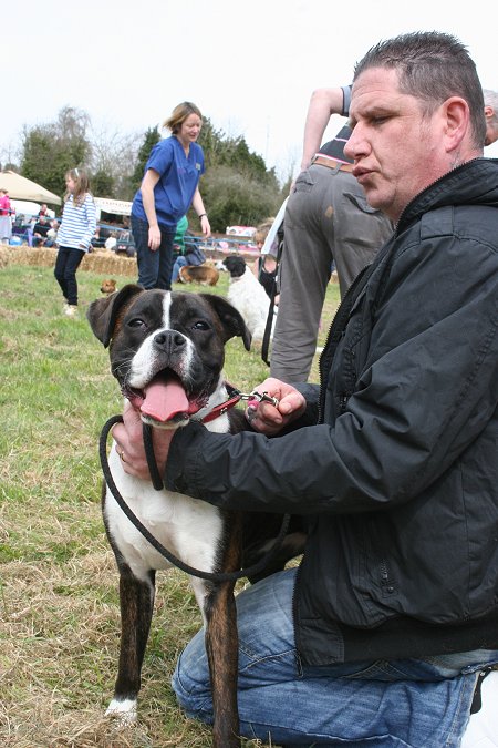 Drove Vets Dogs' Day Out 2013