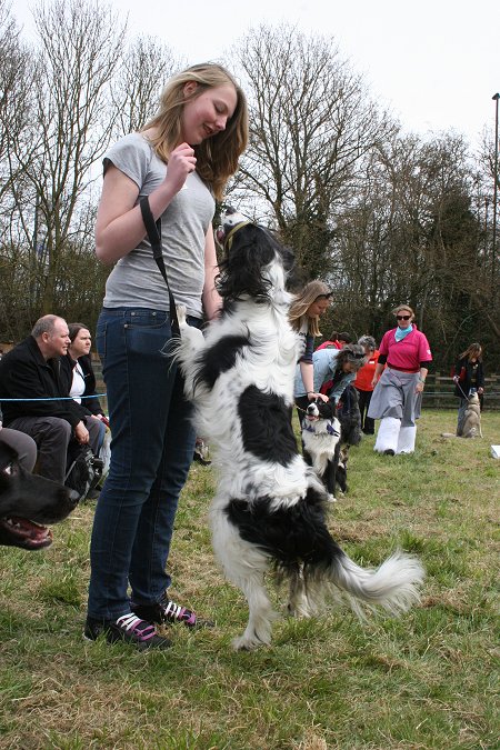 Drove Vets Dog Day Out