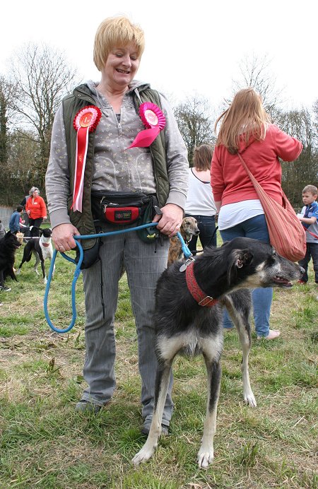 Drove Vets Dog Day Out