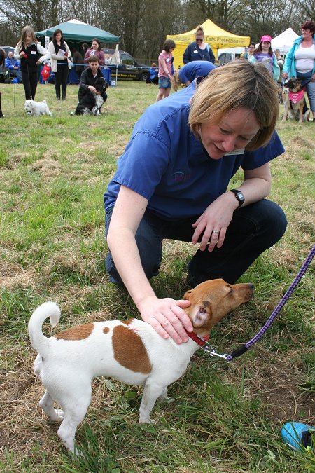 Drove Vets Dogs' Day Out 2013