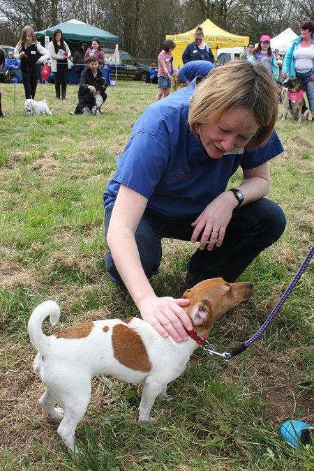 Drove Vets Dogs' Day Out 2013