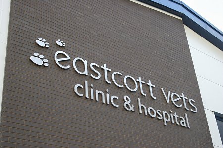 Eastcott Vets Swindon