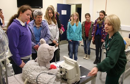 Eastcott Vets Career Evening Swindon