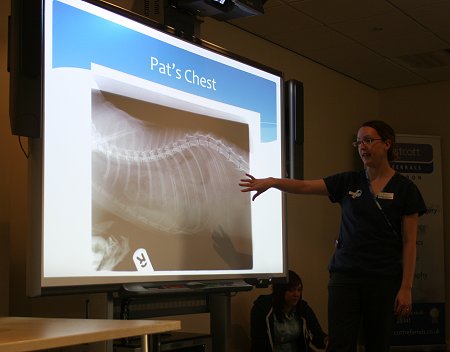 Eastcott Vets Career Evening Swindon