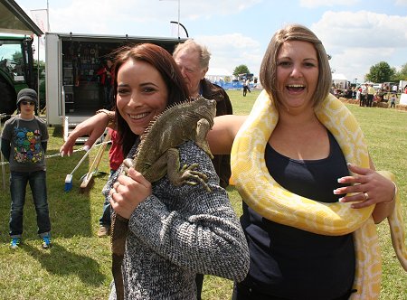 County Show at Roves Farm Swindon