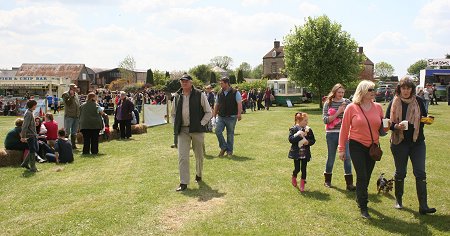 County Show at Roves Farm Swindon