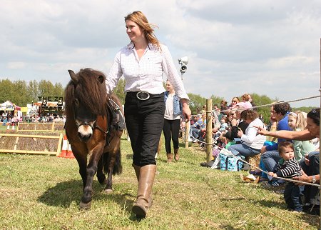 County Show at Roves Farm Swindon