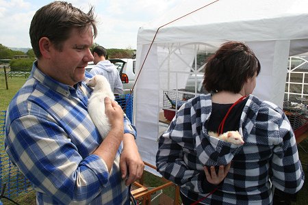 County Show at Roves Farm Swindon