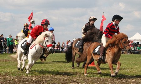 County Show at Roves Farm Swindon