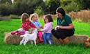 County Show at Roves Farm