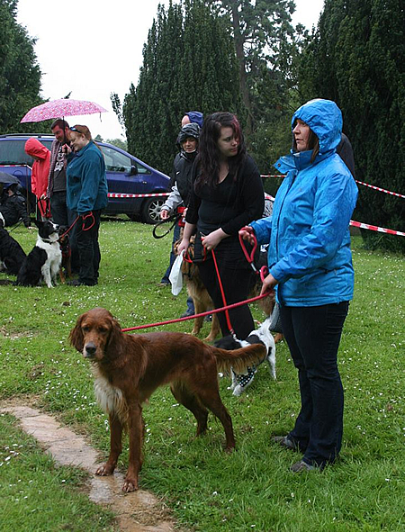 Old Town Festival Dog Show 2013