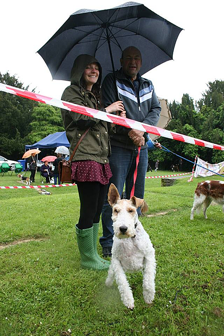 Old Town Festival Dog Show 2013