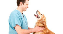 Eastcott Vets Open Day