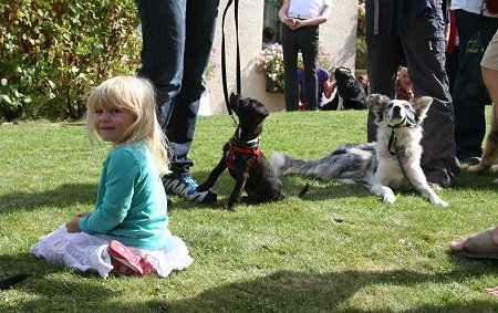 White Horse at Winterbourne Bassett Dog Show 2013