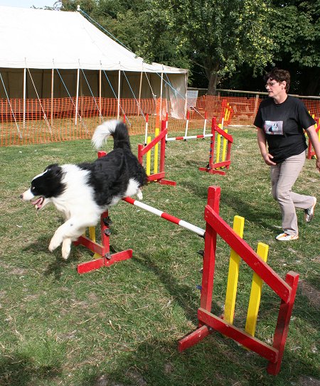 White Horse at Winterbourne Bassett Dog Show 2013