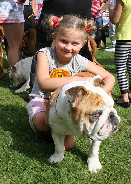 White Horse at Winterbourne Bassett Dog Show 2013