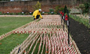 Field of Remembrance