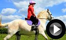 Horse Riding Open Day