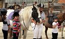 Pony Days & Camps