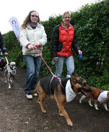 Dog Walking at Coate Water Swindon