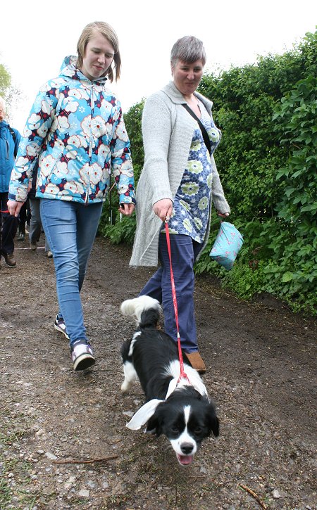 Dog Walking at Coate Water Swindon