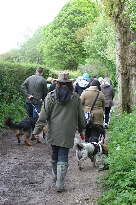 Dog Walking at Coate Water Swindon