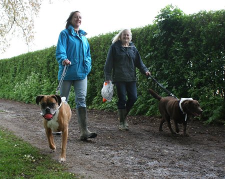 Dog Walking at Coate Water Swindon