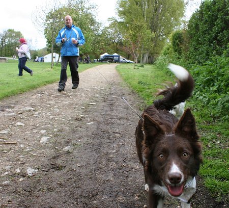 Dog Walking at Coate Water Swindon