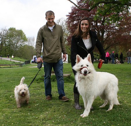 Dog Walking at Coate Water Swindon