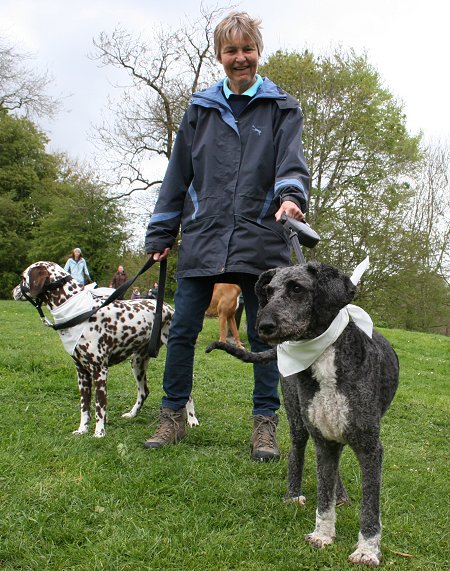 Dog Walking at Coate Water Swindon