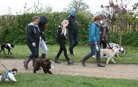 Dog Walking at Coate Water Swindon