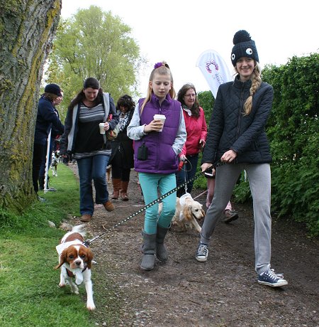 Dog Walking at Coate Water Swindon