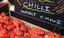 Chilli Fiesta 2014