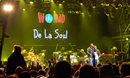 Womad 2015