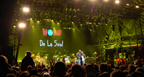 Womad 2015