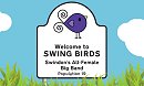 Swing Birds