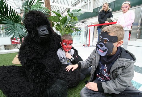 Gorillas at The Brunel